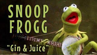 Snoop Frogg (Kermit sings "Gin & Juice")