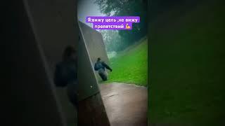 ТРЕНИРОВКИ БЕЗ ОПРАВДАНИЙ #тренировка #приколы #видео