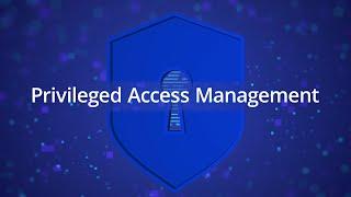 Privileged Access Management (PAM) with Netwrix Solutions