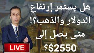 هل يستمر الدولار والذهب في الإرتفاع؟..الأسباب و متى يصل سعر الأوقية العالمي إلى 2550$؟