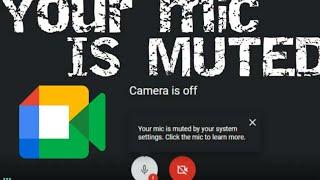 How to solve your mic is muted by your system setting | Google Meet
