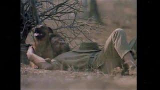 Johnny Clegg and Savuka  - Great heart (From 'Jock of the Bushveld' (1986)