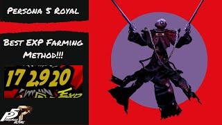 Persona 5 Royal - Best EXP Farming Method!