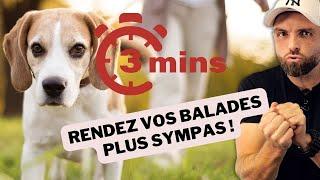 Une meilleure balade pour votre chien FACILEMENT ! (3 min chrono)