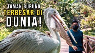 Tak Sangka Malaysia ada Taman Burung terbesar di DUNIA!