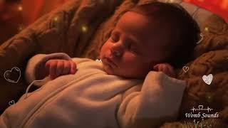 Womb Sounds, Heartbeat & White Noise for Baby Sleep,10 Hours to Soothe Crying Infant, Colicky Babies