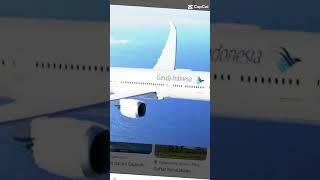 pesawat Garuda Indonesia Jatuh 