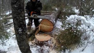 ЗАЕХАЛИ В НОВУЮ ДЕЛЯНУ, ВАЛКА ЛЕСА ТРЕЛËВКА ЛЕСА НА МТЗ