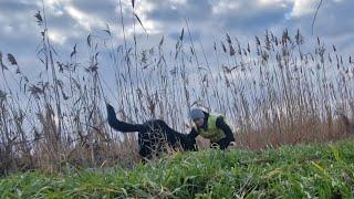 ЭТОГО МЫ НЕ ОЖИДАЛИ! Бывает и такое. КОМУ ВОЙНА, А КОМУ... Что за бомжи ходят?