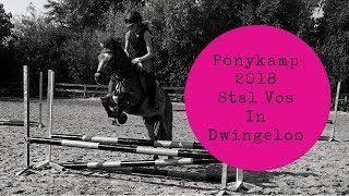 Ponykamp "stal Vos" in Dwingeloo 2018 #JoanneNeidhoferHorses #Vlog120