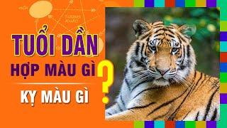 TUỔI DẦN Hợp MÀU GÌ? Kỵ Màu Nào Nhất? Chọn Màu Sắc Đúng Phong Thủy Để Đón May Mắn