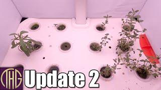 How Well Does The Shroud Work?? Spider Farmer G12 Indoor Grow System Update 2