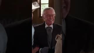 DOES STAN LEE HAVE CAMEOS IN DC? | #Shorts