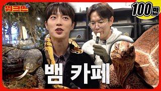 Snake + Snake Zodiac Doojoon + Snake-tongued Sung-kyu!  | Yoon Doojoon | Snake Cafe | Workman 2