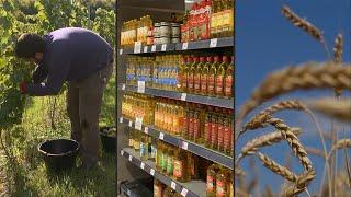 FAO: Preços dos alimentos mantêm queda em setembro | AFP