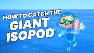 How to catch GIANT ISOPOD in Animal Crossing New Horizons (Summer Update)?