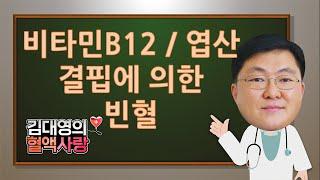 [김대영의 혈액사랑] 비타민B12/엽산결핍에 의한 빈혈