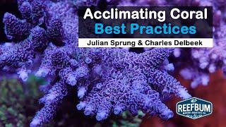 Acclimating Coral - Best Practices: Julian Sprung & Charles Delbeek, Rappin' With ReefBum Sound Bite