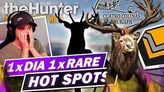 meine HOT SPOTS für Rothirsche! theHunter Call of the Wild Deutsch