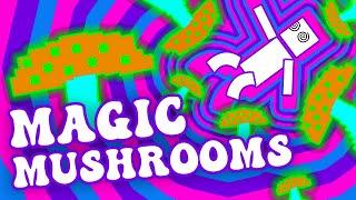 What Can Magic Mushrooms Really Do To You? 