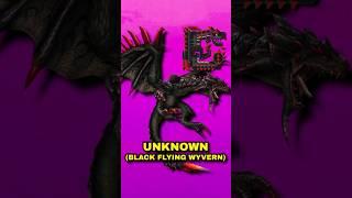 Who is Unknown? (The Black Flying Wyvern) | #mhfrontier