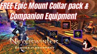 Neverwinter Mod 21 - FREE Mount Collar Companion EQUIPMENT Choice Consoles Legendary Mounts Pack