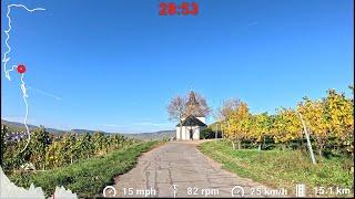 Scenic Indoor Cycling Workout Autumn ‍️ Mosel Germany Garmin 4K Video