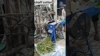 best chaff cutter for green fodder cutting #chaffcuttermachine #greenfodder