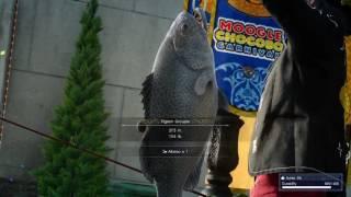 "I am Noctis, Prince of Lucis and King of Fishing!"