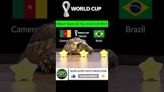 Cameroon vs Brazil  FIFA World Cup 2022 |  Turtle Football Predictions #shorts