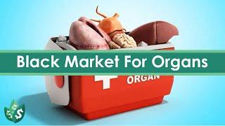 How Much Are Black Market Organs? (Explained)