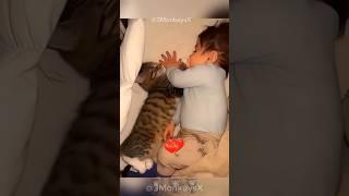 Adorable Cats & babies    #funnycats #cats #cat #funny #animals #fun #time #funtime