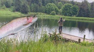 Fishing for trout in Scotland/Fly fishing