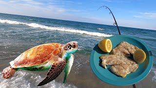 Oh no, Sea Turtle! & Catch Clean Cook Pompano