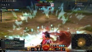 Guild wars 2- Edgemaster putting the works on Anonymous Wolf