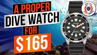 The Best PROPER Dive Watch For $165