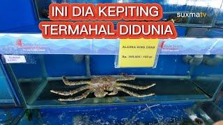 INI DIA KEPITING TERMAHAL DI DUNIA