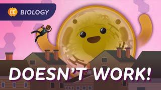 Why We Aren’t Just One Big Cell: Multicellular Function: Crash Course Biology #41