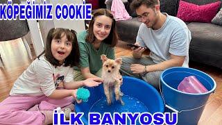 ZEYNEP HİRANUR ENES KÖPEĞİMİZ COOKİE’NİN İLK BANYOSU NE YAPTI ?(pomeranian)