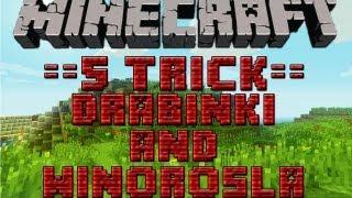 Minecraft Trick #001 - 5 Tricków&Sztuczek z Drabinkami i Winoroślami