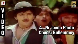 Yamaleela - A...Ni Jeenu Pantu Choosi Bullemmoy Video (Telugu) | Ali, Indraja