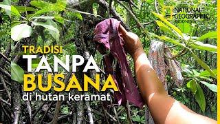 Hutan Perempuan Nasibmu Kini