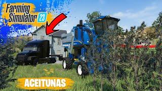 Cosecho y Cultivo ACEITUNAS y Compró el MACK ANTHEM | Farming Simulator 23