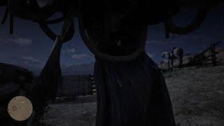 Red Dead Redemption 2:Donkey lady