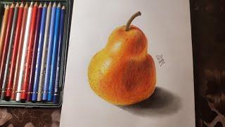 How to Draw pear | colorful sketch with polychromos