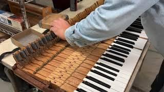 Steinway O Grand Regulation from 1903: Grand Purpose Piano