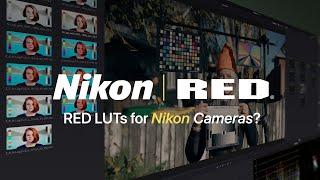 RED Just Launched LUTs for Nikon Cameras for N-Log!