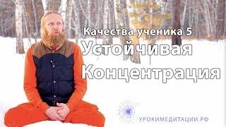 Качества ученика  5. Устойчивая концентрация