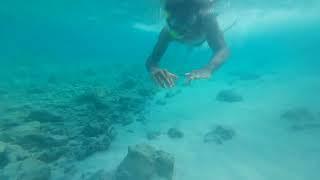 moldives thinadhoo island ( sv news lanka )