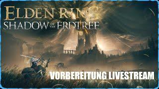 Elden Ring Coop Vorbereitung für Shadow of the Erdtree COOP